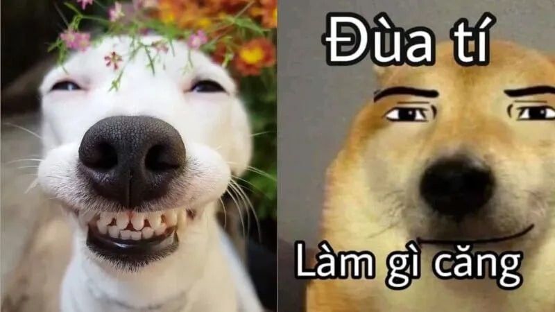 Meme cười theo đối tượng nhân vật