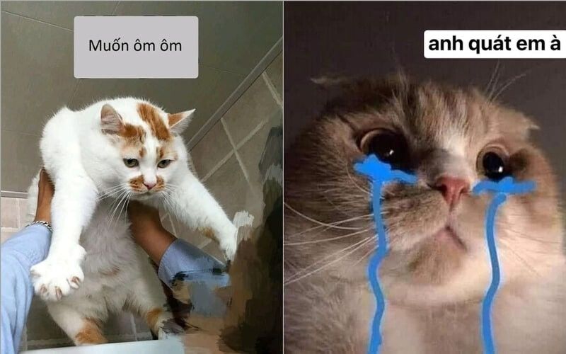 Meme cười theo đối tượng nhân vật