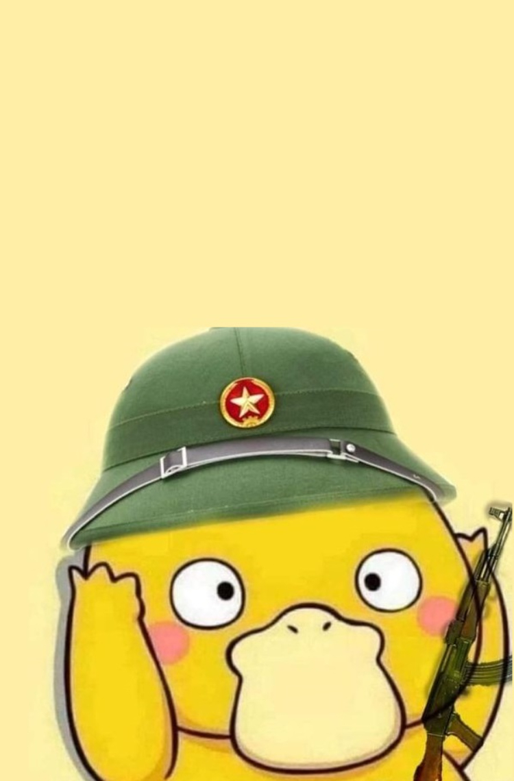 Ảnh vịt meme chú bồ đội