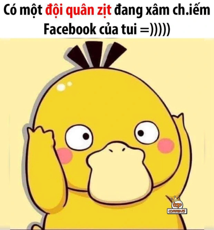 Hình ảnh vịt meme hài hước