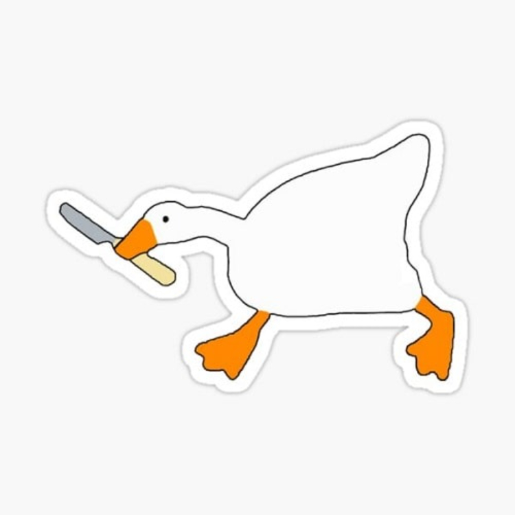 Ảnh vịt meme trắng hài hước