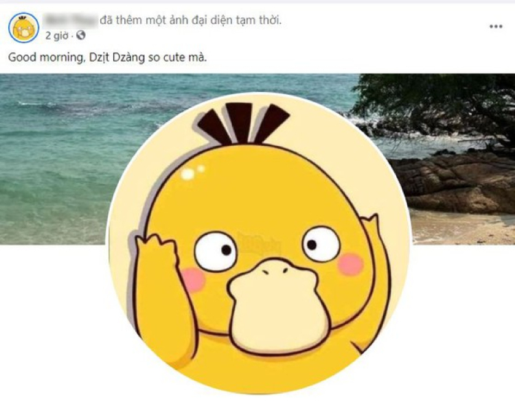 Ảnh đại diện Facebook vịt vàng