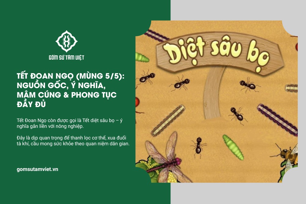 y nghia tet doan ngo