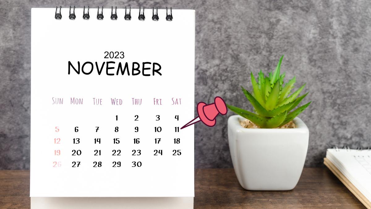 Ngày 11/11 là thứ mấy?