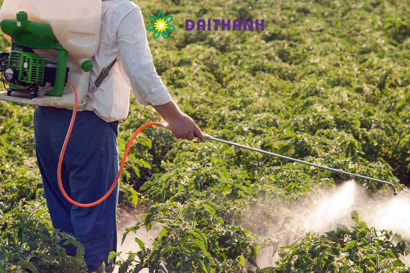 Phân bón lá và cách sử dụng