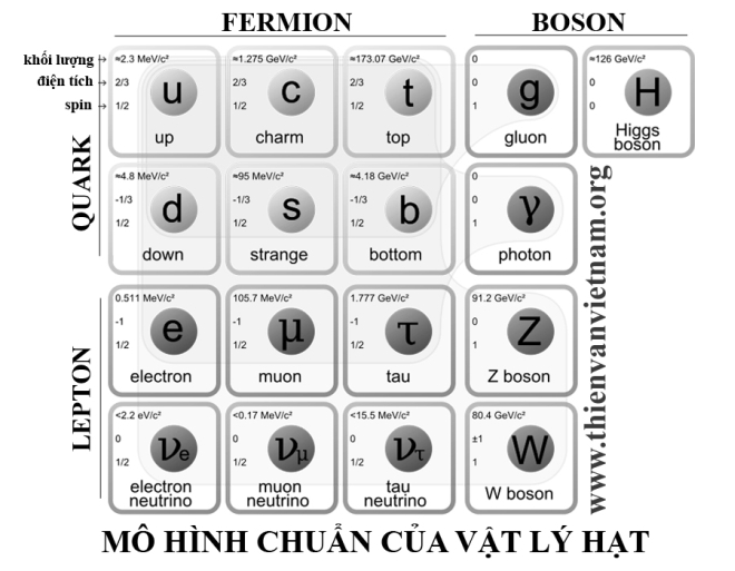 nguyen tu gom cac loai hat co ban nao