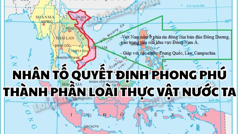 Nhân tố quyết định phong phú thành phần loài thực vật nước ta