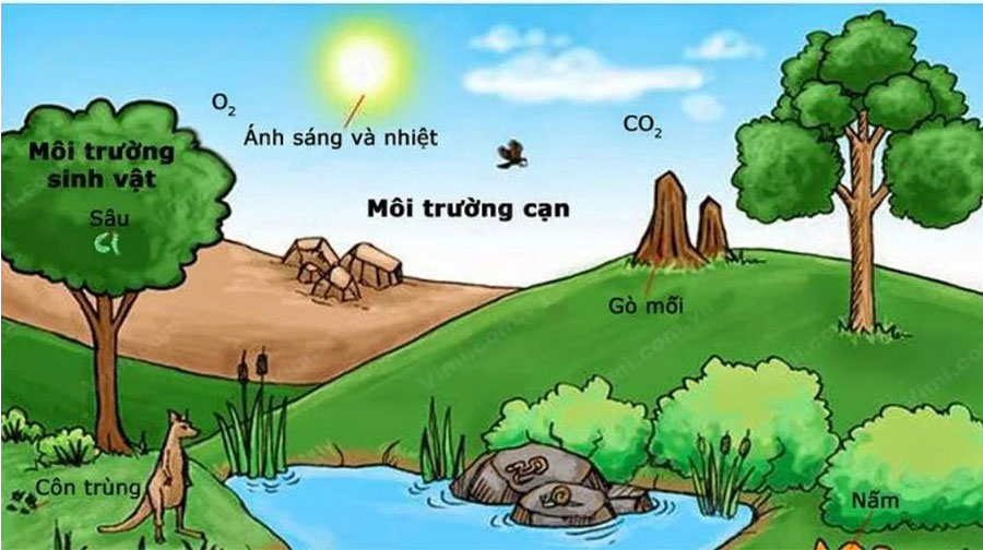 Nhiệt độ không khí thay đổi như thế nào theo vĩ độ?