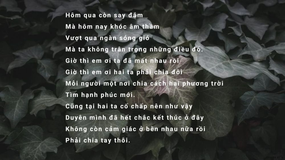 những bài hát buồn về tình yêu