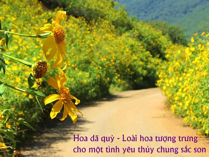 tho-hien-dai-voh-2