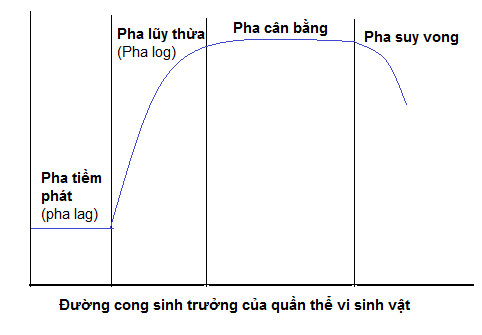 phan biet nuoi cay lien tuc va khong lien tuc 1