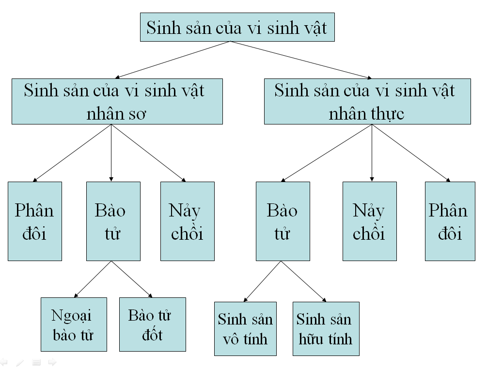 phan biet nuoi cay lien tuc va khong lien tuc 2