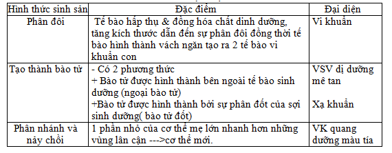 phan biet nuoi cay lien tuc va khong lien tuc 3