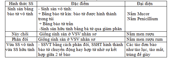phan biet nuoi cay lien tuc va khong lien tuc 6