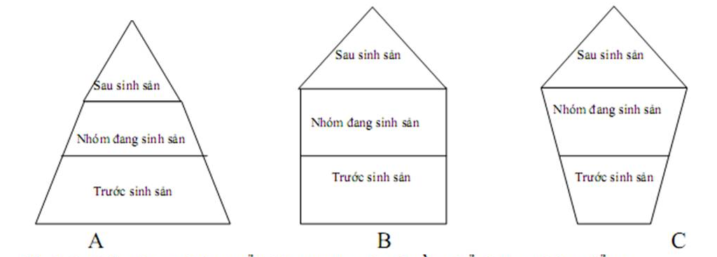 phan bo dong deu giua cac ca the trong quan the thuong gap khi 1