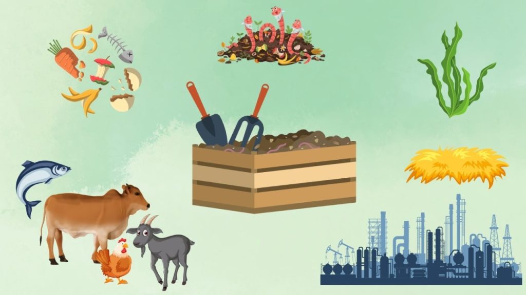 phân bón hữu cơ có đặc điểm gì thành phần tự nhiên của phân bón hữu cơ