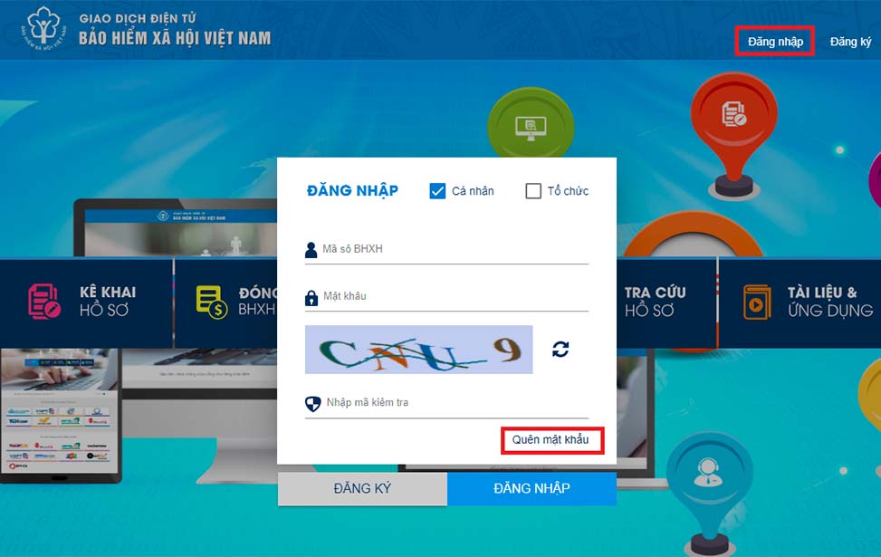 cấp lại mật khẩu vssid