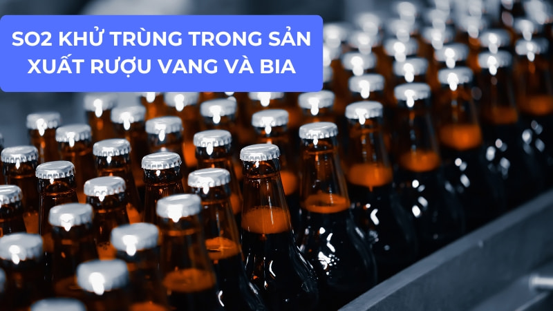 Chất khử trùng trong sản xuất rượu vang và bia