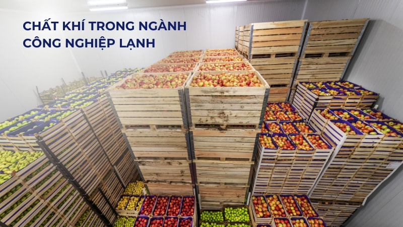 Chất khí trong ngành công nghiệp lạnh
