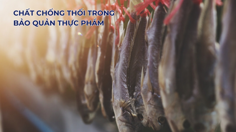 Chất chống thối trong bảo quản thực phẩm