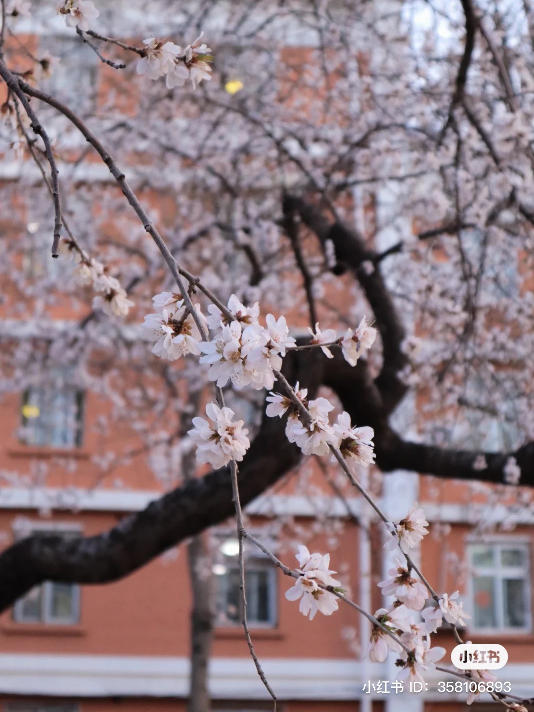 ĐẠI HỌC SƯ PHẠM THỦ ĐÔ - 首都师范大学