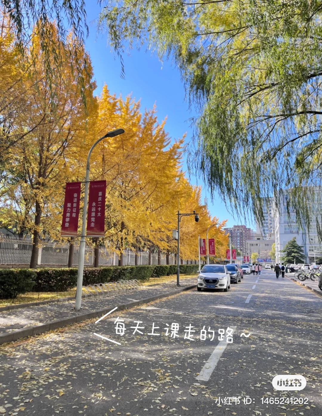 ĐẠI HỌC SƯ PHẠM THỦ ĐÔ - 首都师范大学