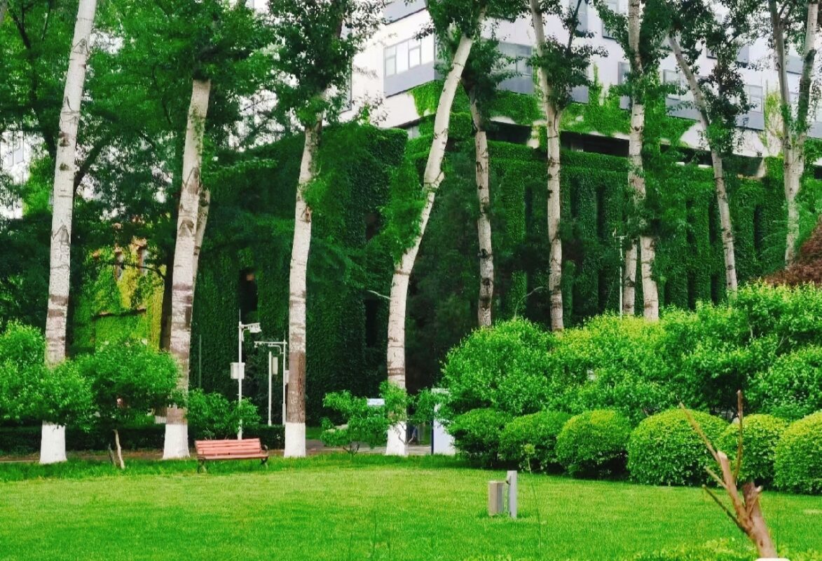 ĐẠI HỌC SƯ PHẠM THỦ ĐÔ - 首都师范大学