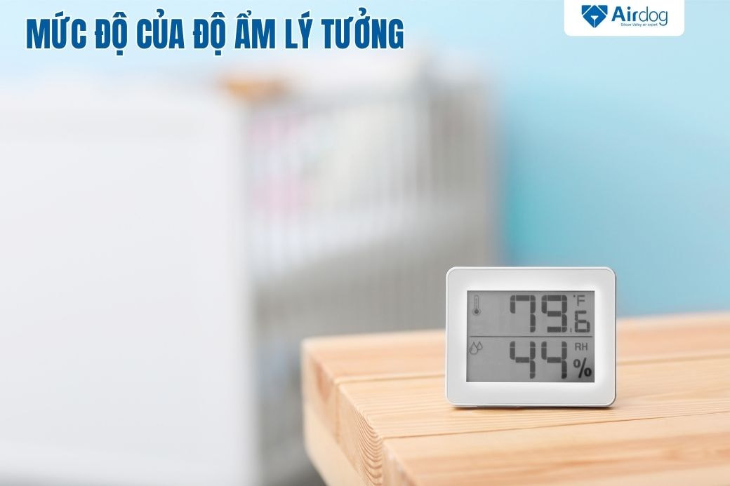 Mức độ của độ ẩm lý tưởng