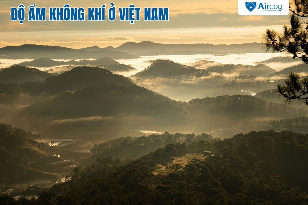 Độ ẩm không khí ở Việt Nam