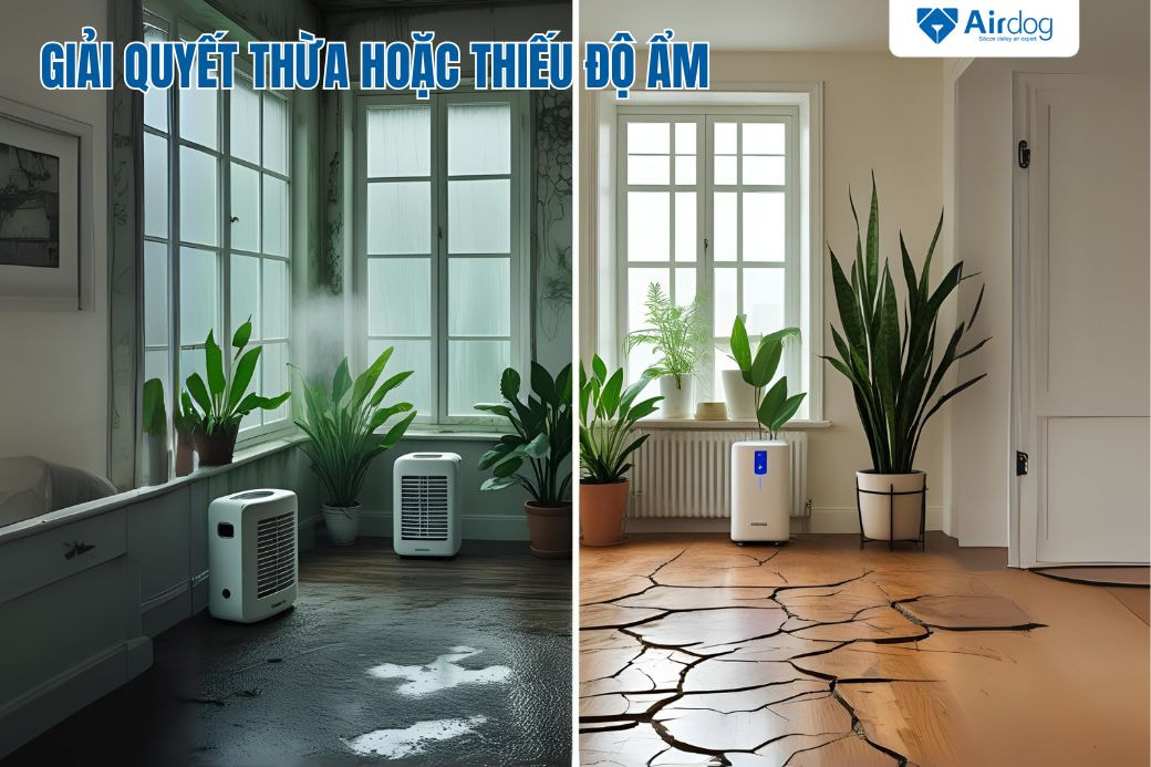 Giải quyết tình trạng thừa hoặc thiếu độ ẩm