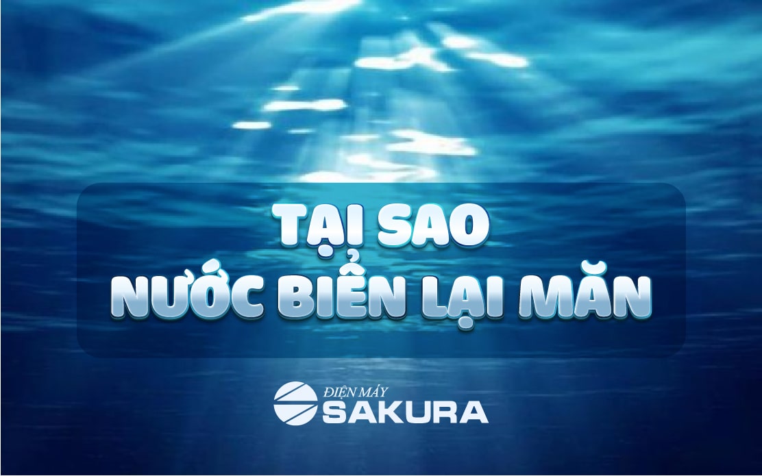 Tại sao nước biển lại mặn?
