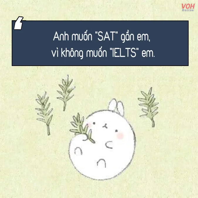 status thả thính bằng môn học 7