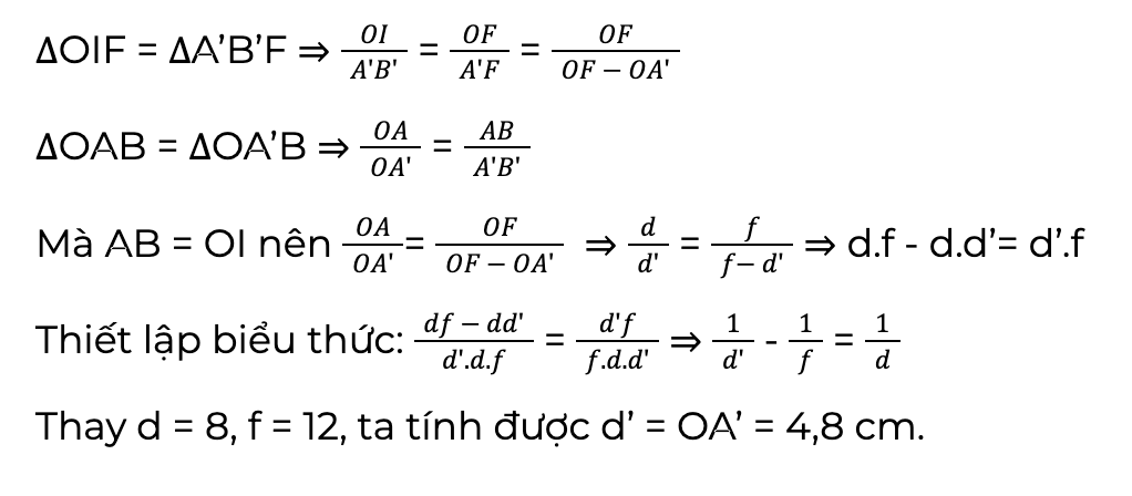 thau kinh phan ki co dac diem gi 2
