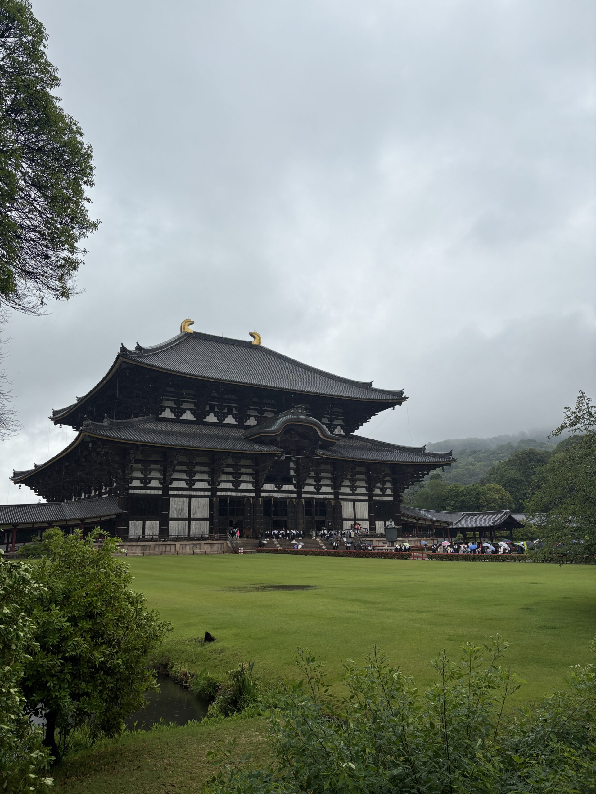 they said we went to japan on holiday last week 3