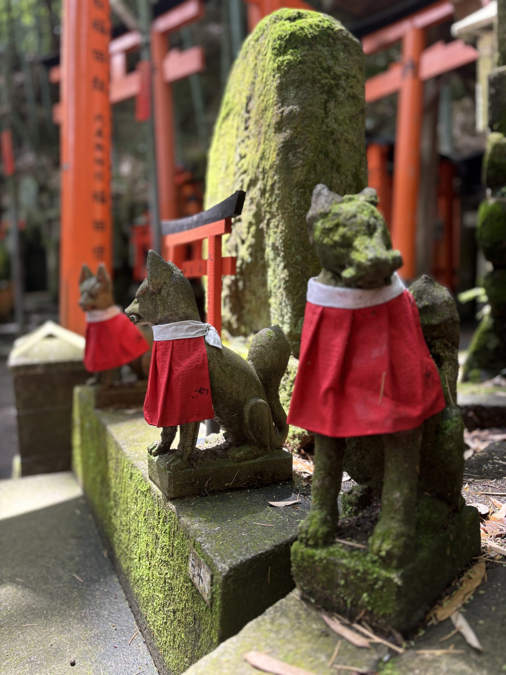 they said we went to japan on holiday last week 7