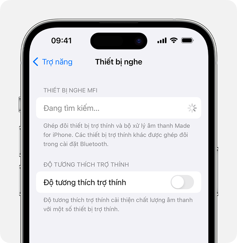 Phần cài đặt Thiết bị nghe khi đang tìm kiếm thiết bị nghe MFi