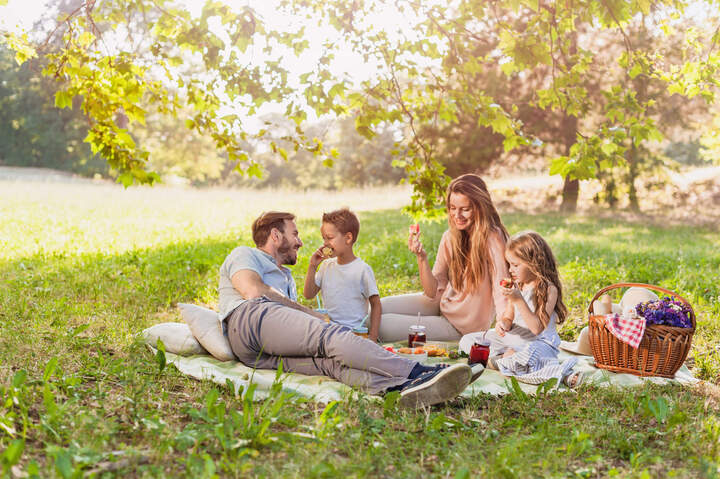 Cho bé đi dã ngoại là lựa chọn của nhiều bậc phụ huynh trong dịp lễ 1/6. (Ảnh: Picnic People)
