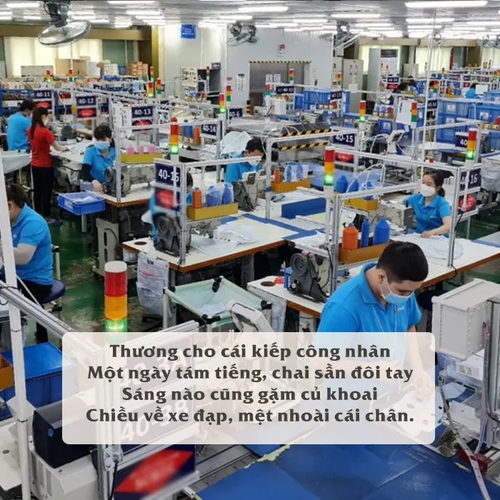 Stt đời công nhân 4