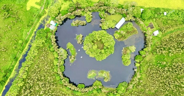 Nghị luận về tình yêu thiên nhiên