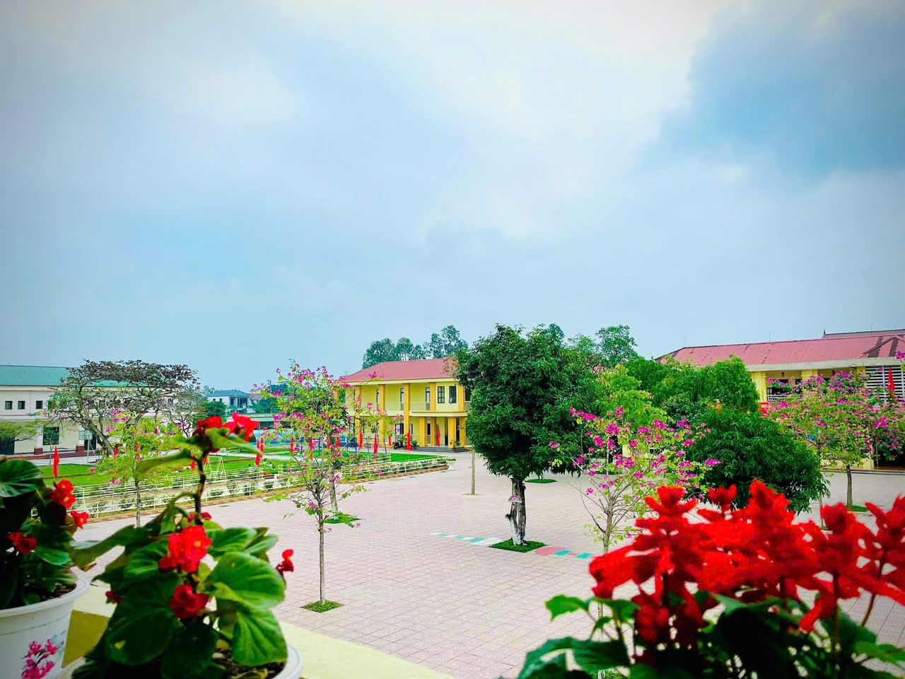trang tri san truong tieu hoc 4