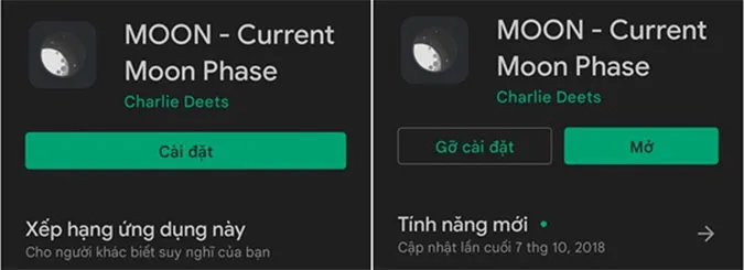Trend mặt trăng 4