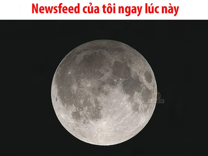 Trend mặt trăng 1