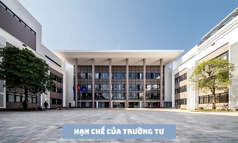 Hạn chế của trường tư là gì? 