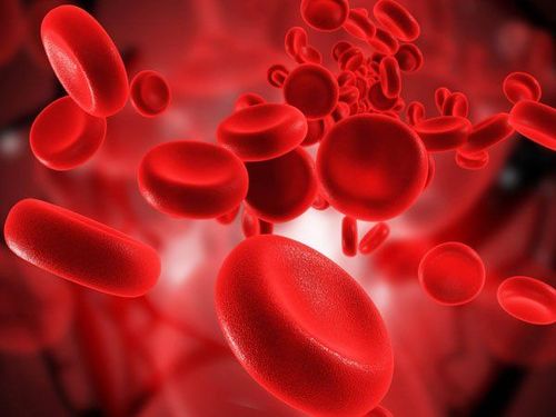 Hồng cầu giúp vận chuyển oxy trong cơ thể