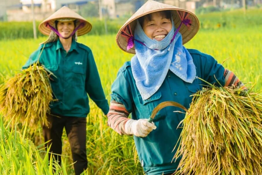 Con người Việt Nam lạc quan