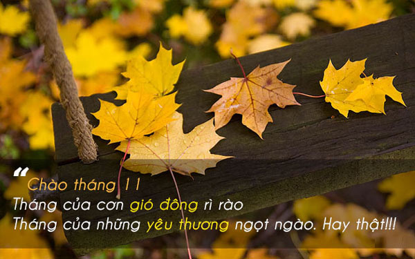 Xin chào tháng 11 - tháng của những mối quan hệ chính thức bắt đầu