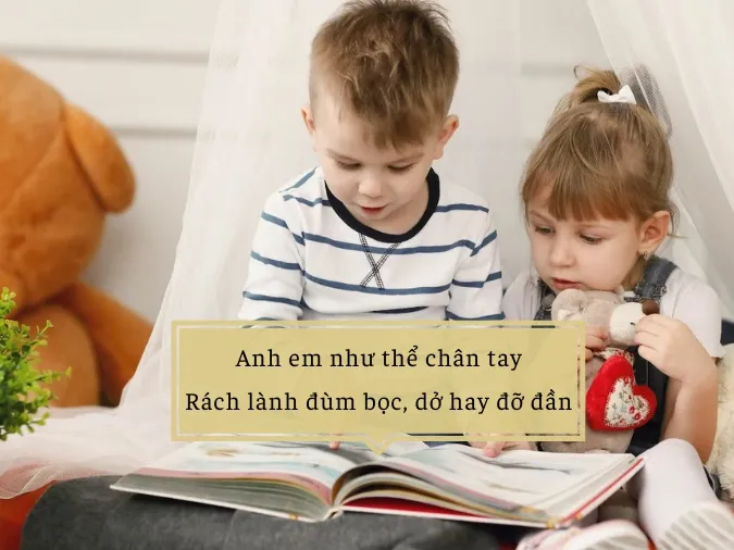 Giải thích câu tục ngữ