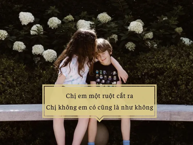 Giải thích câu tục ngữ