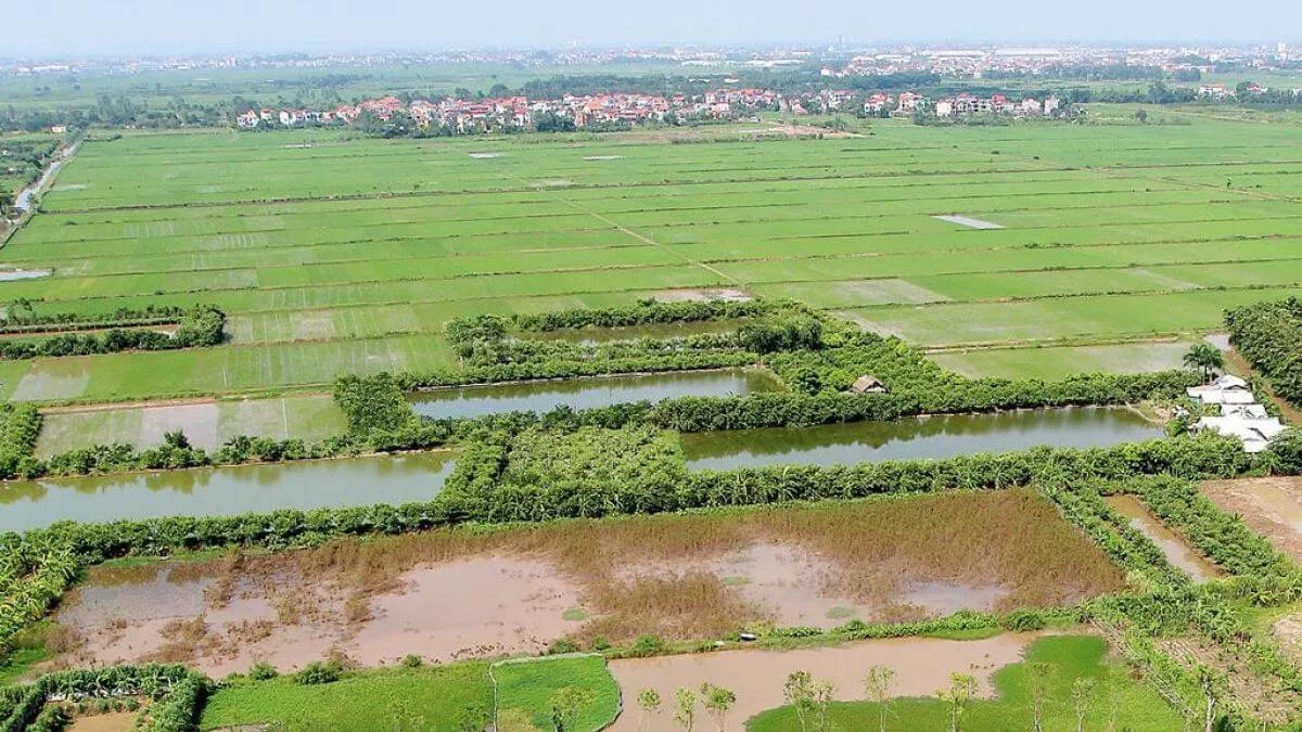 1 hecta bằng bao nhiêu công đất?