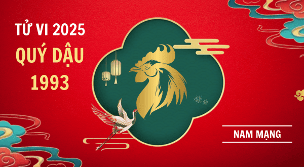 Tử vi tuổi Quý Dậu 1993 năm Ất Tỵ 2025 nam mạng